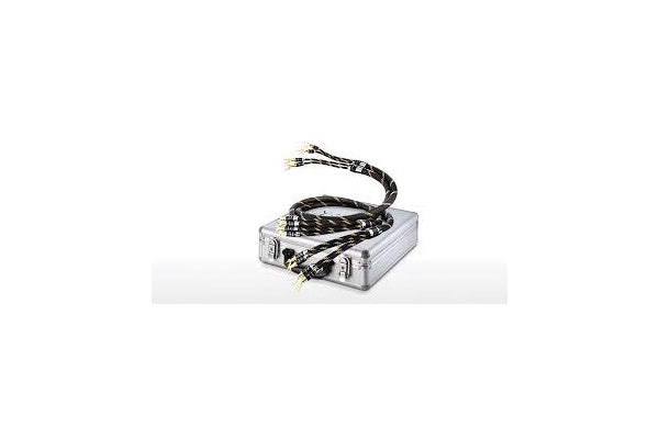 Vincent Highend-Speaker-Cable 2x2m